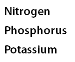 Nitrogen Phosphorus Potassium