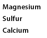 Magnesium Sulfur Calcium